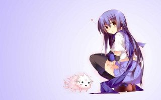 Purple haired girl white cat - a pink cat free wallpaper