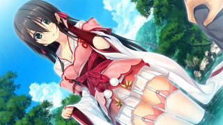 Woman dress man suit forest - serial free wallpaper
