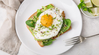 Plate sandwich fork limes food - david ramsay hay free wallpaper