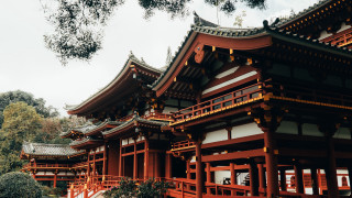 Red white architecture shrine trees - side and trees free wallpaper