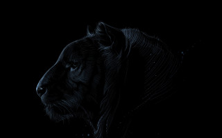 Tiger head water droplets monochrome - furry free wallpaper