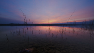 Lake plants sunset burndfasching anamorphic - hudson river school free wallpaper for desktop