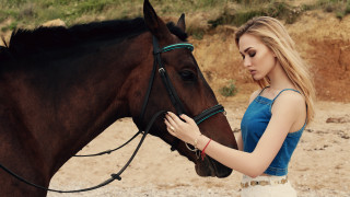Woman petting horse blue shirt - a horse free wallpaper