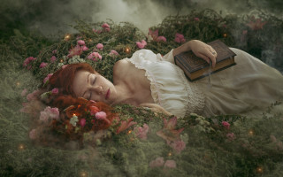 Woman laying green field flowers - a book free wallpaper