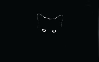 Black cat white eye crescent - the dark free wallpaper