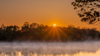Foggy lake autumn sunset trees - a foggy lake free wallpaper