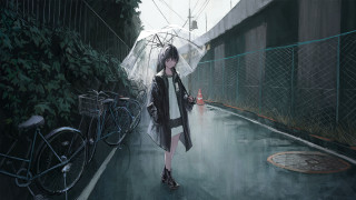 Woman walking rainy street bicycle - the side of the road free wallpaper