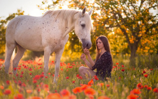 Woman horse flower field autumn - magic realism free wallpaper for desktop