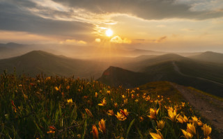 Sunset mountain flowers trail autumn - andrey esionov free wallpaper