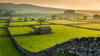 Green field stone wall stone - beautiful landscape free wallpaper