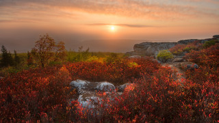 Sunset mountain rocks red bushes - a foggy sky free wallpaper