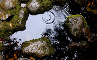 Puddle rocks leaves stream circular - andy goldsworthy free wallpaper