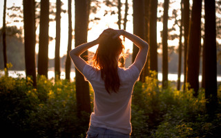 Woman forest sunset backlighting autumn - the sun free wallpaper