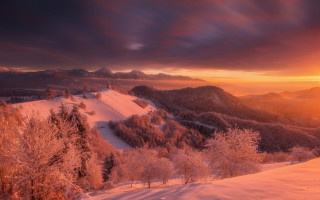 Sunset snowy mountain trees cloudy - tree and mountains free wallpaper