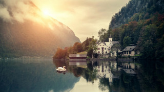 Swan lake mountains sunset bernd - a swan free wallpaper