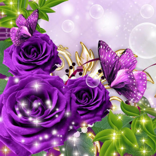Purple rose butterfly stars bubbles - a purple rose free wallpaper