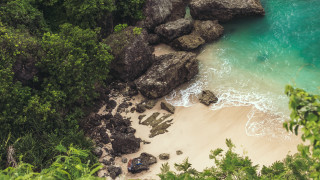 Beach water trees rocks people - a few person free wallpaper