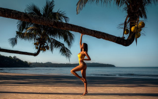 Woman beach palm sunset fireworks - elizabeth polunin free wallpaper