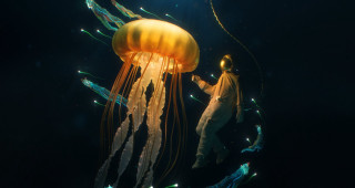 Man jellyfish night sky star - neodada free wallpaper