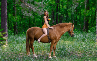 Woman horse forest nature sunlight - postimpressionism free wallpaper