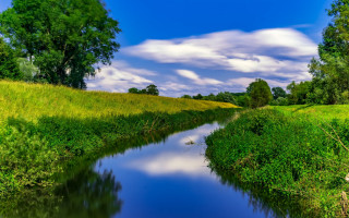 River green hill trees lake - impressionist free wallpaper