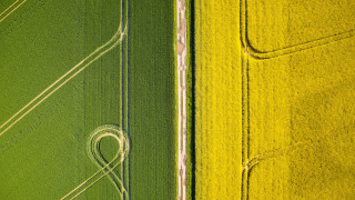 Heart field tractor land art - dynamic composition free wallpaper