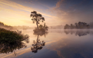 Lake tree foggy sky autumn - a foggy sky above free wallpaper
