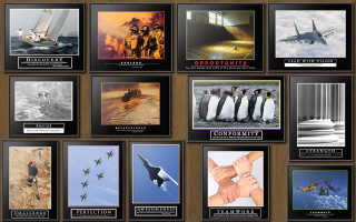 Military planes photo wall people - free bird wallpaper