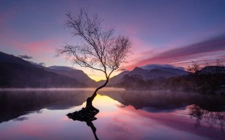 Tree water sunset mountains pink - anthony s waters free wallpaper