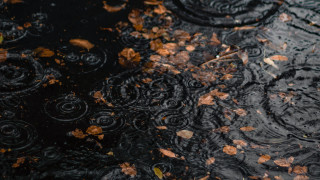 Puddle leaves tree autumn fire - a puddle of water free wallpaper