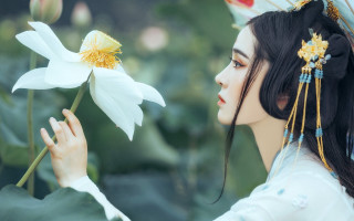 Woman white dress flower butterfly - bian jingzhao free wallpaper