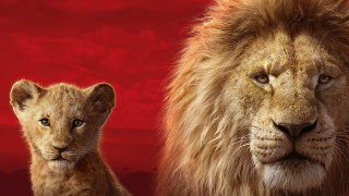 Lion cub red background animals - anne said free wallpaper for desktop