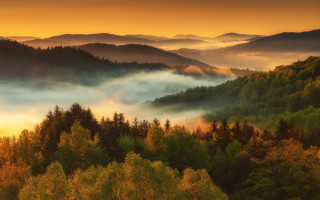 Foggy forest sunset mountains lake - a sunset in the distance free wallpaper