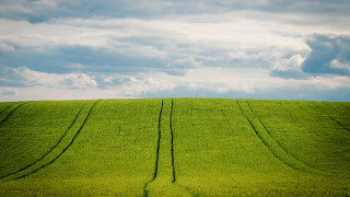 Field sky grass clouds beach - the foreground free wallpaper