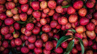 Red berry green leaf macro - a pile free wallpaper