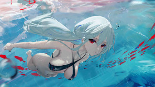 Woman fish bikini underwater aya - her waist free wallpaper