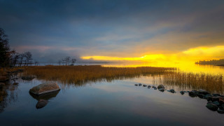 Sunset lake rocks grass birds - the water and grass free wallpaper