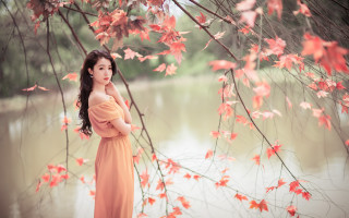 Woman dress tree red leaves - red leaf free wallpaper
