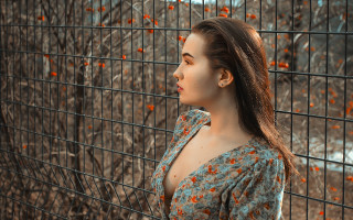 Elina karimova portrait orange fence - a fence free wallpaper