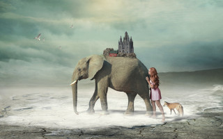 Woman elephant castle dog beach - an elephant free wallpaper