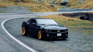 Black car gold rims road - gold free wallpaper