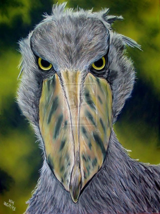 Bird beak yellow eyes red - figurative art free wallpaper