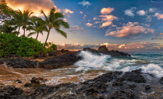 Beach waves rocks palm trees - a colorful sky free wallpaper