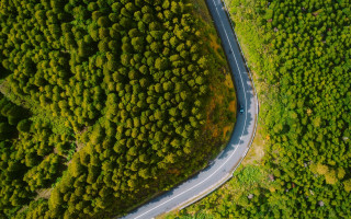 Winding road forest car nature - lush free wallpaper for desktop