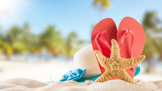 Flipflops starfish beach sand trees - summer vibrancy free wallpaper