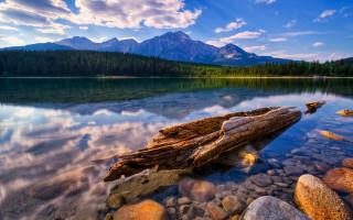 Log shore lake mountains blue - the shore of a lake free wallpaper