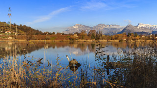 Lake birds mountains snow matte - a few bird free wallpaper