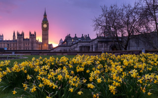 Flower field clock tower autumn - christopher wren free wallpaper