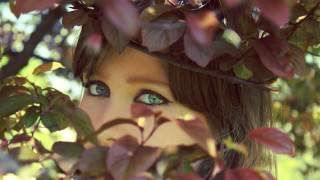 Woman green eyes hiding behind - branch free wallpaper
