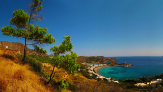 Beach bay hilltop trees blue - exekia free wallpaper